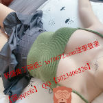 新盛经理人挣财